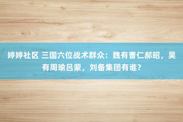 婷婷社区 三国六位战术群众：魏有曹仁郝昭，吴有周瑜吕蒙，刘备集团有谁？