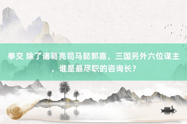 拳交 除了诸葛亮司马懿郭嘉，三国另外六位谋主，谁是最尽职的咨询长？