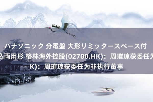 パナソニック 分電盤 大形リミッタースペース付 露出・半埋込両用形 格林海外控股(02700.HK)：周璀琼获委任为非执行董事