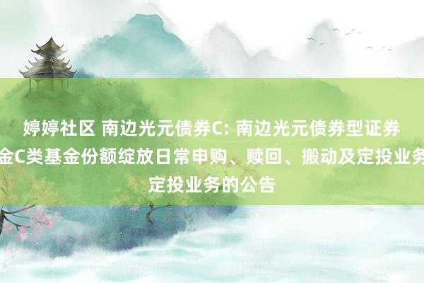 婷婷社区 南边光元债券C: 南边光元债券型证券投资基金C类基金份额绽放日常申购、赎回、搬动及定投业务的公告