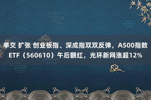 拳交 扩张 创业板指、深成指双双反弹，A500指数ETF（560610）午后翻红，光环新网涨超12%