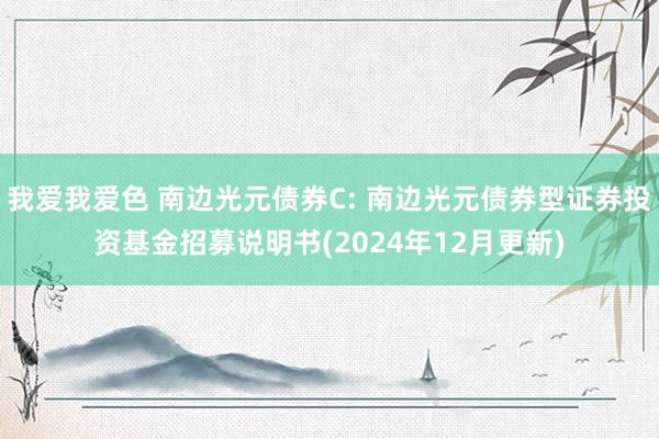 我爱我爱色 南边光元债券C: 南边光元债券型证券投资基金招募说明书(2024年12月更新)