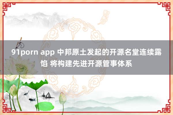 91porn app 中邦原土发起的开源名堂连续露馅 将构建先进开源管事体系