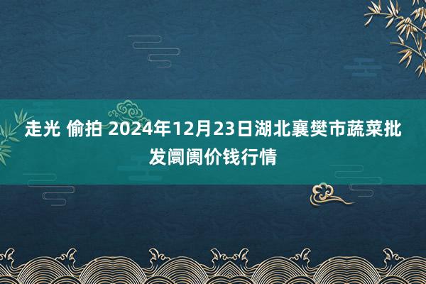 走光 偷拍 2024年12月23日湖北襄樊市蔬菜批发阛阓价钱行情