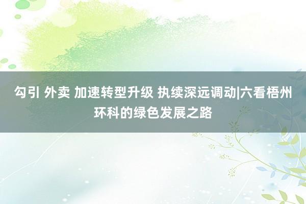 勾引 外卖 加速转型升级 执续深远调动|六看梧州环科的绿色发展之路