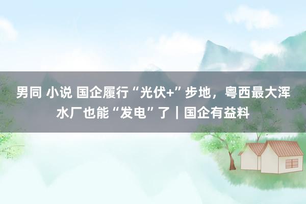 男同 小说 国企履行“光伏+”步地，粤西最大浑水厂也能“发电”了｜国企有益料