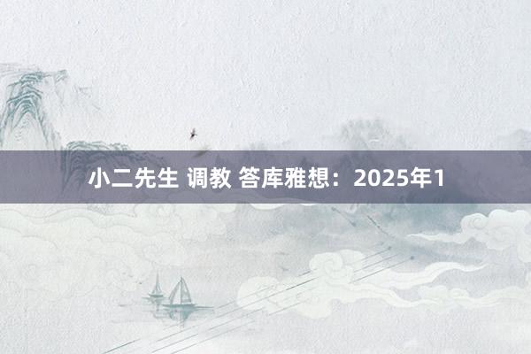 小二先生 调教 答库雅想：2025年1