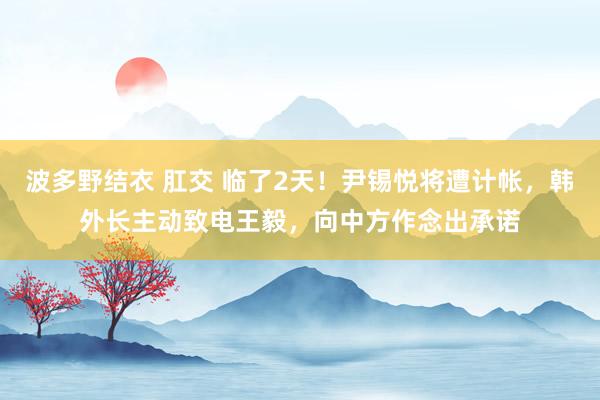 波多野结衣 肛交 临了2天！尹锡悦将遭计帐，韩外长主动致电王毅，向中方作念出承诺