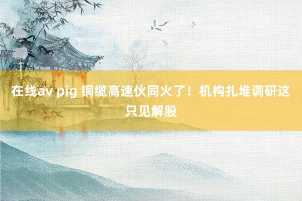 在线av pig 铜缆高速伙同火了！机构扎堆调研这只见解股