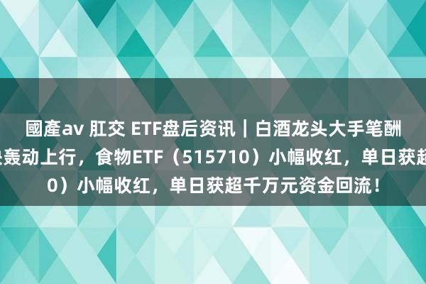 國產av 肛交 ETF盘后资讯｜白酒龙头大手笔酬报鼓舞！吃喝板块轰动上行，食物ETF（515710）小幅收红，单日获超千万元资金回流！