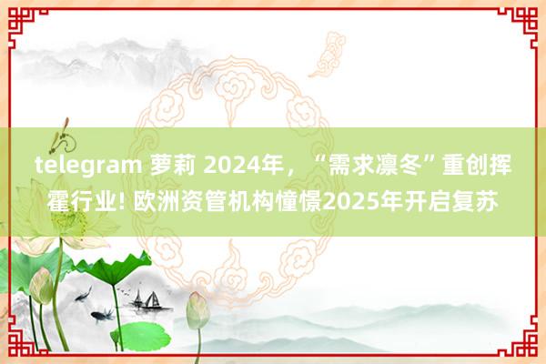 telegram 萝莉 2024年，“需求凛冬”重创挥霍行业! 欧洲资管机构憧憬2025年开启复苏