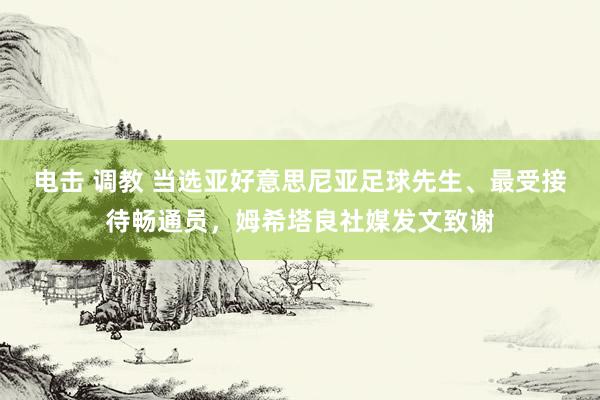 电击 调教 当选亚好意思尼亚足球先生、最受接待畅通员，姆希塔良社媒发文致谢