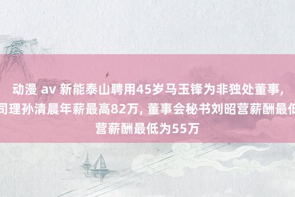 动漫 av 新能泰山聘用45岁马玉锋为非独处董事， 代理总司理孙清晨年薪最高82万， 董事会秘书刘昭营薪酬最低为55万