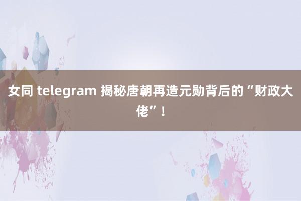 女同 telegram 揭秘唐朝再造元勋背后的“财政大佬”！