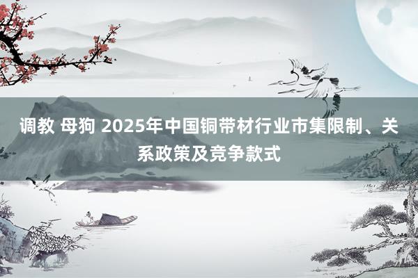 调教 母狗 2025年中国铜带材行业市集限制、关系政策及竞争款式