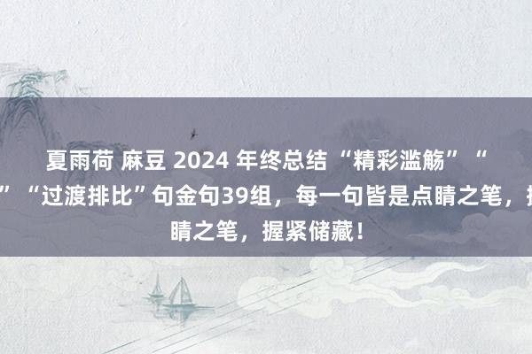 夏雨荷 麻豆 2024 年终总结 “精彩滥觞” “硬核收尾” “过渡排比”句金句39组，每一句皆是点睛之笔，握紧储藏！