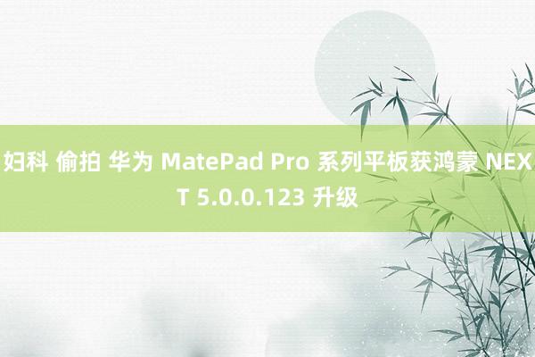 妇科 偷拍 华为 MatePad Pro 系列平板获鸿蒙 NEXT 5.0.0.123 升级