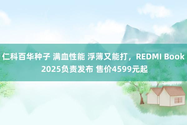 仁科百华种子 满血性能 浮薄又能打，REDMI Book 2025负责发布 售价4599元起