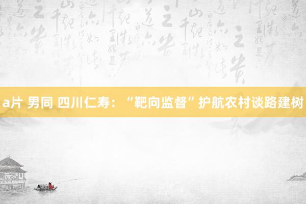 a片 男同 四川仁寿：“靶向监督”护航农村谈路建树