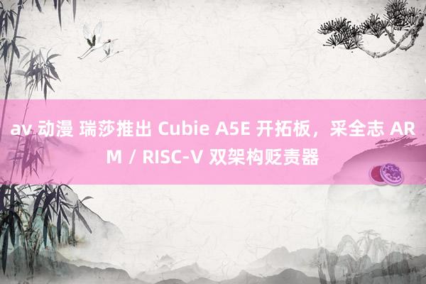 av 动漫 瑞莎推出 Cubie A5E 开拓板，采全志 ARM / RISC-V 双架构贬责器