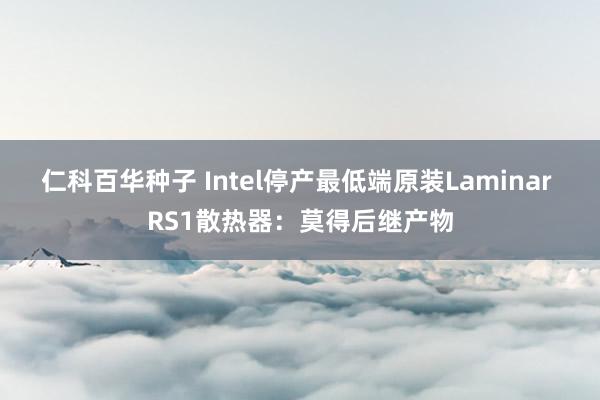 仁科百华种子 Intel停产最低端原装Laminar RS1散热器：莫得后继产物