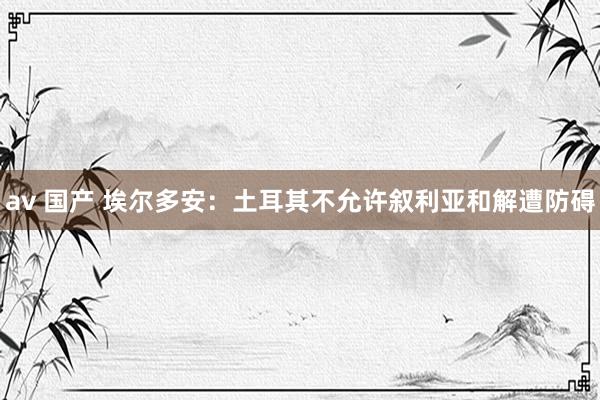 av 国产 埃尔多安：土耳其不允许叙利亚和解遭防碍