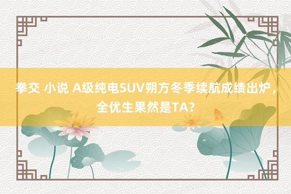 拳交 小说 A级纯电SUV朔方冬季续航成绩出炉，全优生果然是TA？