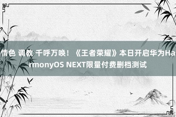 情色 调教 千呼万唤！《王者荣耀》本日开启华为HarmonyOS NEXT限量付费删档测试