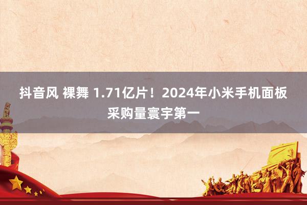 抖音风 裸舞 1.71亿片！2024年小米手机面板采购量寰宇第一