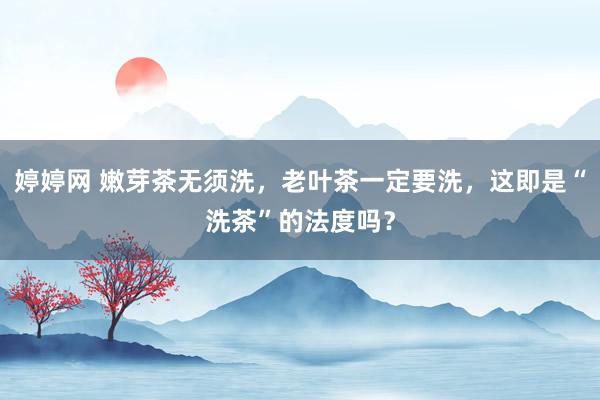 婷婷网 嫩芽茶无须洗，老叶茶一定要洗，这即是“洗茶”的法度吗？