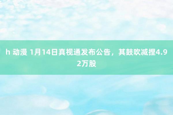 h 动漫 1月14日真视通发布公告，其鼓吹减捏4.92万股