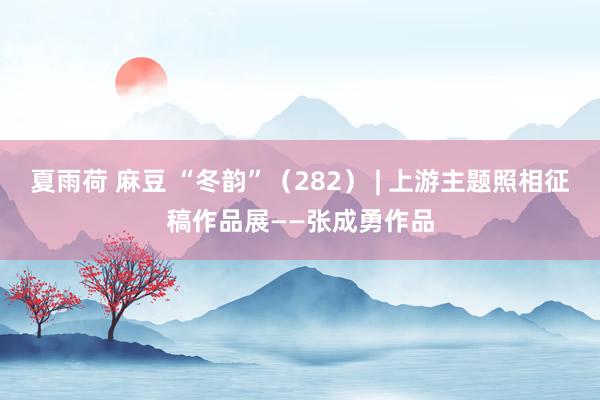 夏雨荷 麻豆 “冬韵”（282） | 上游主题照相征稿作品展——张成勇作品